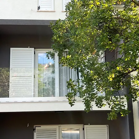 Apartament Avis